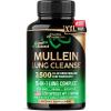 120 Count (Pack of 1)